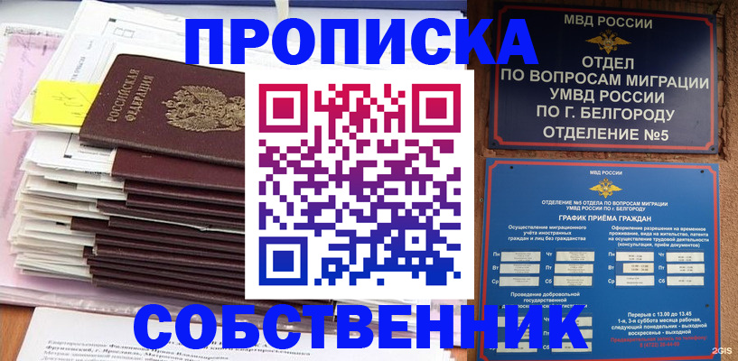 прописка законно в Александровске