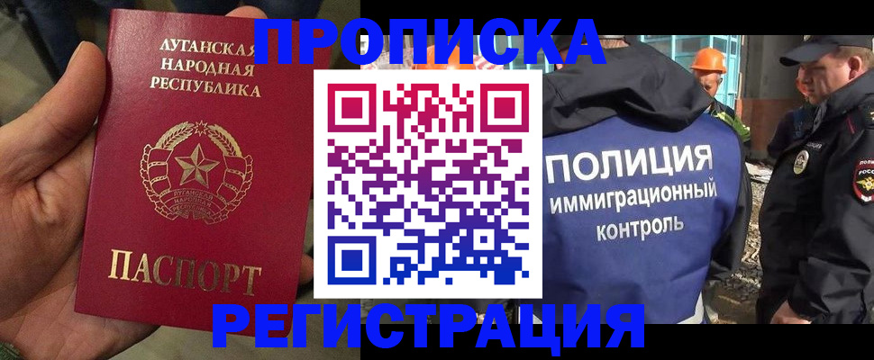 прописка поиск в Александровске